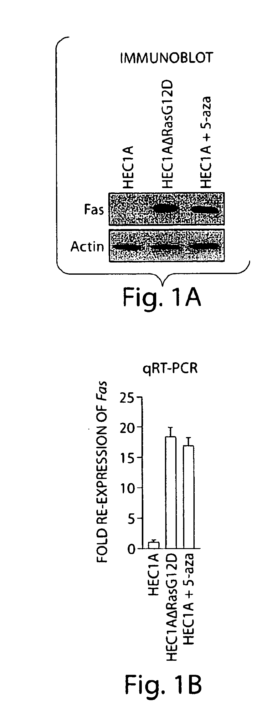 Ras-mediated epigenetic silencing effectors and uses thereof