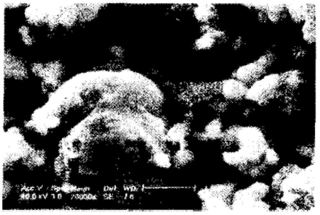 Preparation method of carbon-coated and doped lithium-iron phosphate