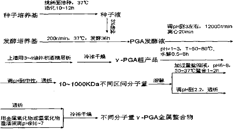 Application of r-polyglutamic acid or salt thereof in dairy product as addition agent