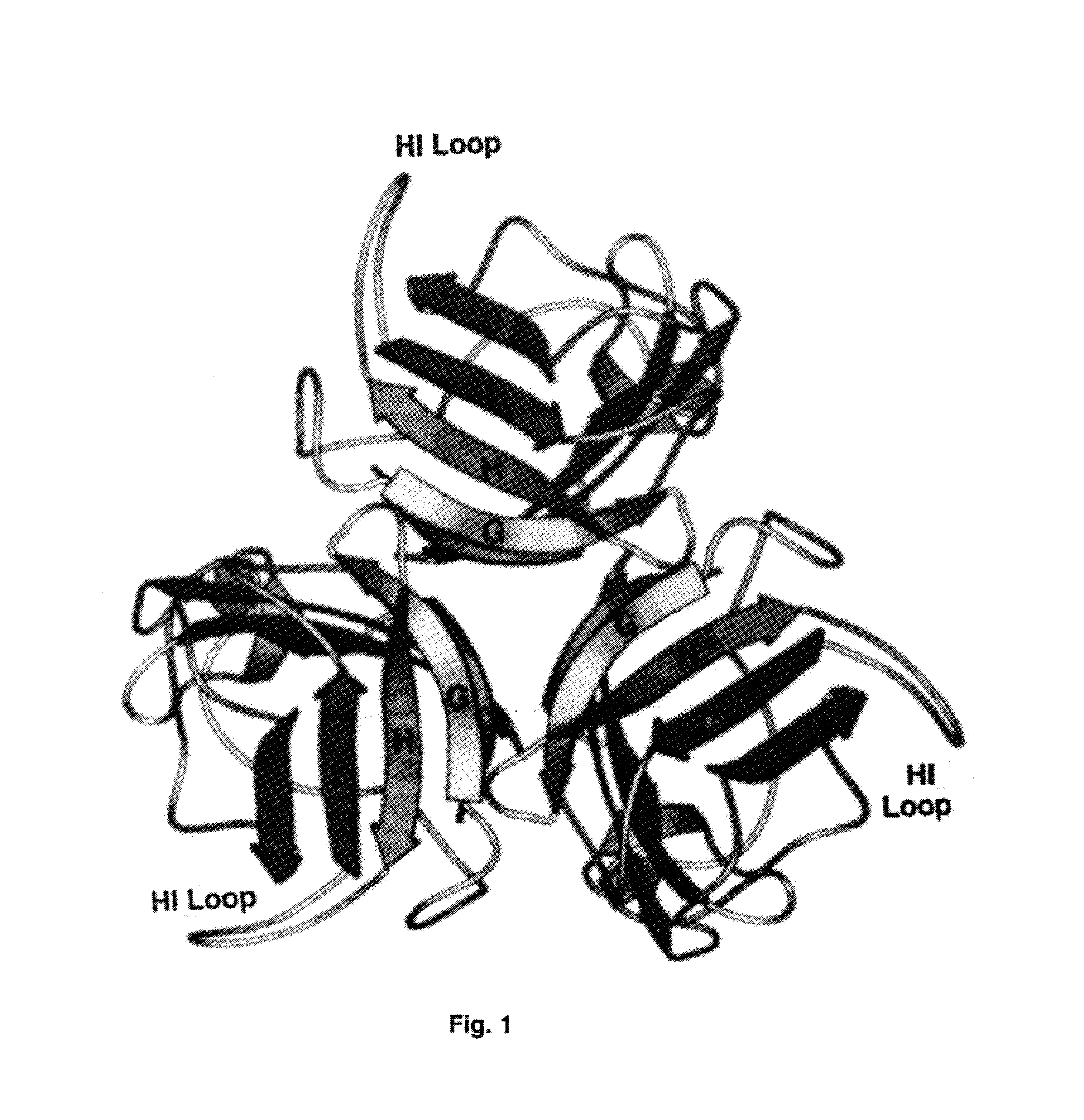 Adenovirus vector containing a heterologous peptide epitope in the hi loop of the fiber knob