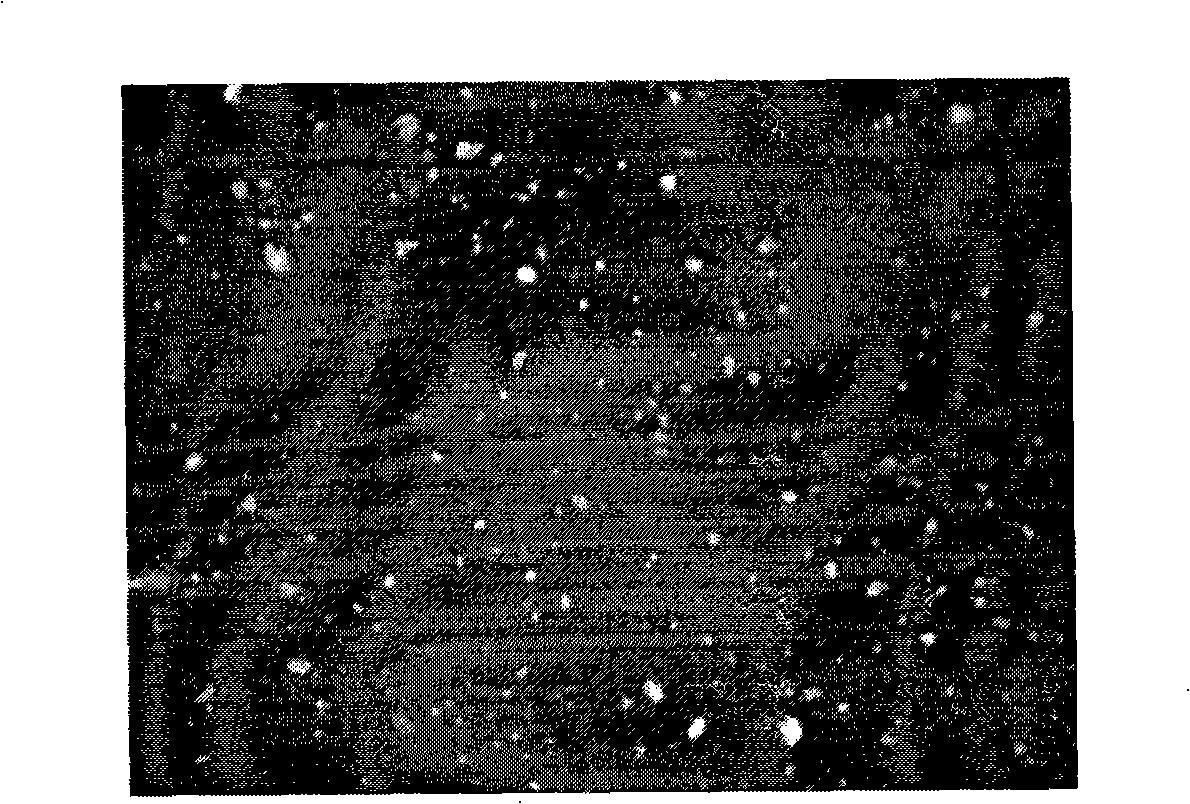 Method for preparing organic and inorganic nanometer assorted fibre