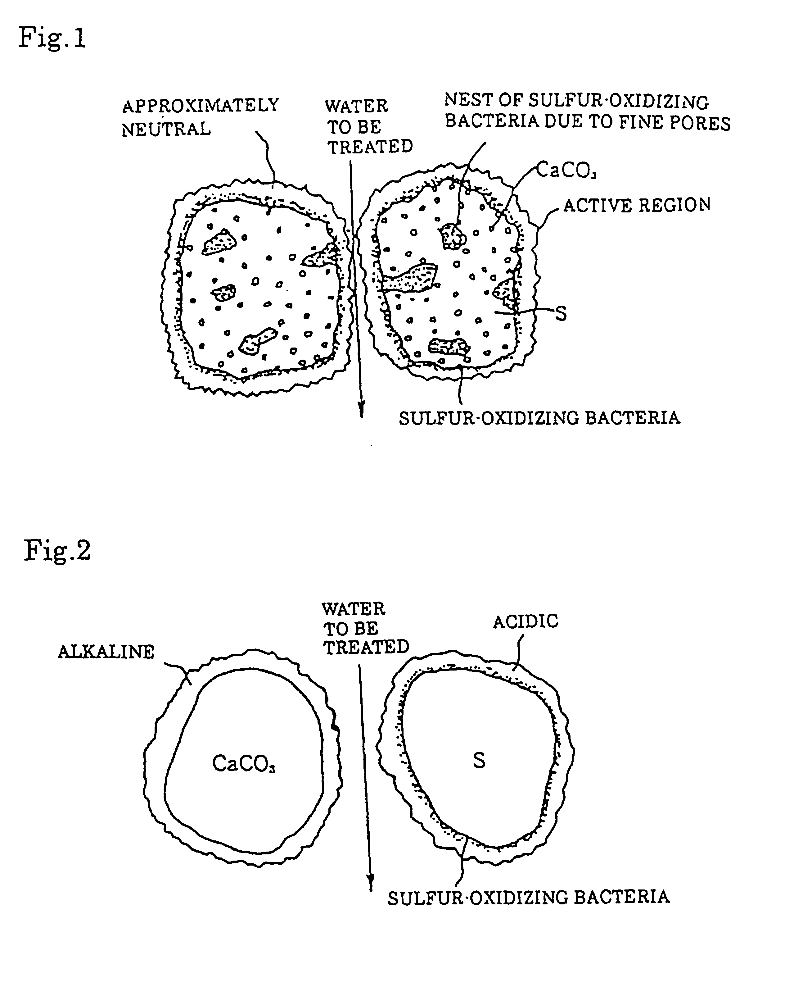 Composition containing calcium carbonate particles dispersed in sulfur for removing nitrate nitrogen