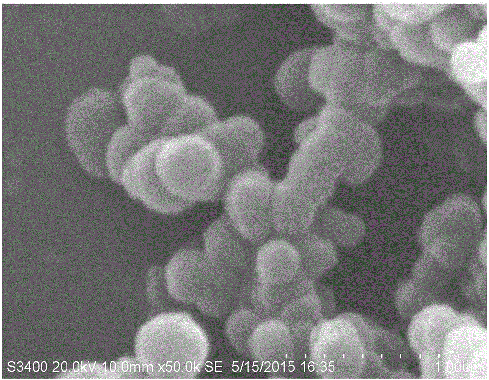 Hydrophilic polymer microsphere and simple preparing method thereof