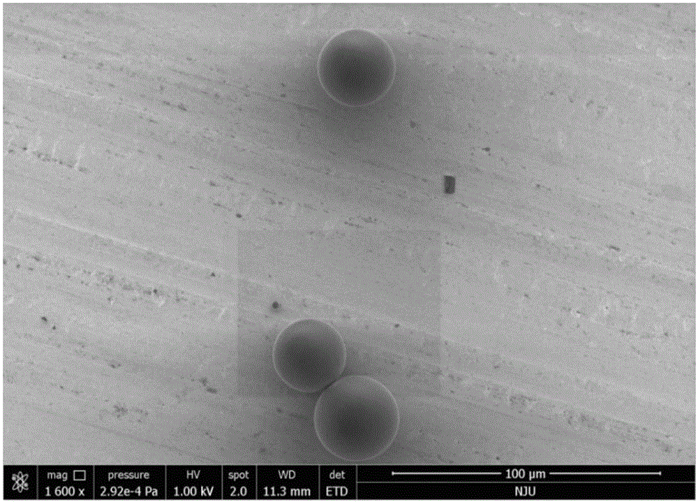 Hydrophilic polymer microsphere and simple preparing method thereof