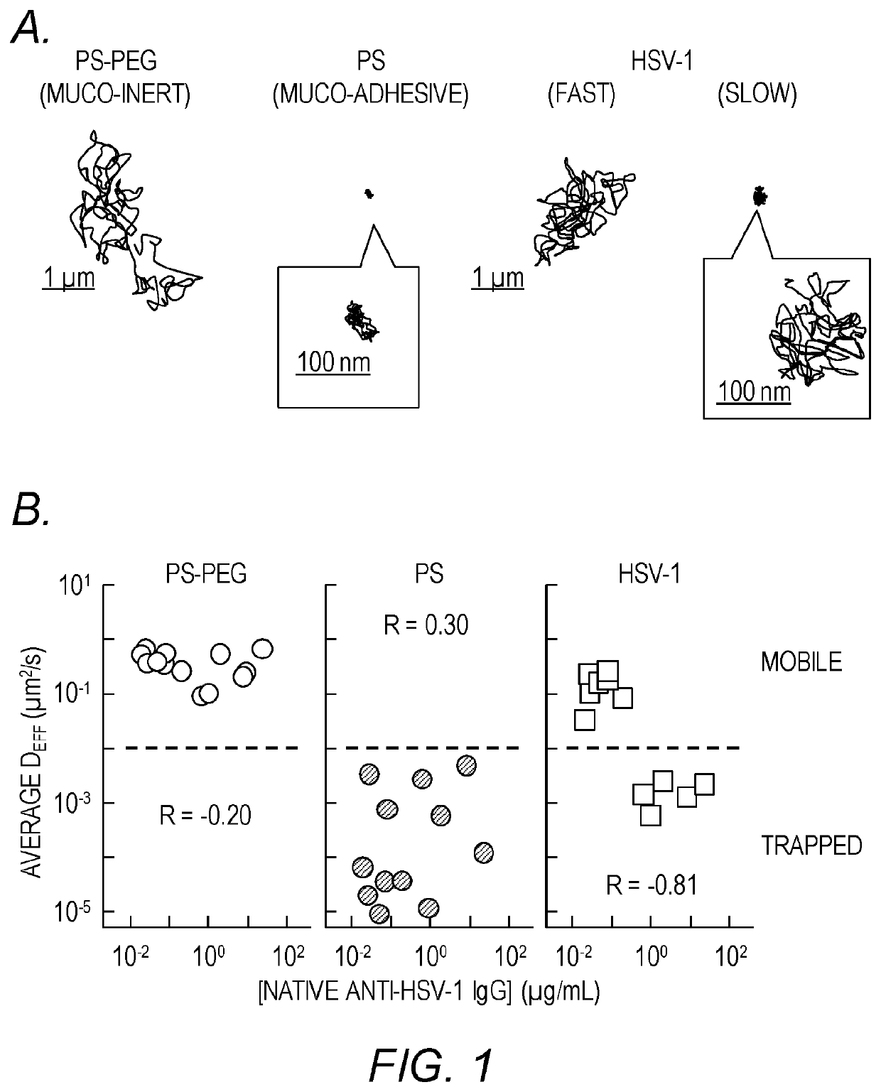 Compositions and methods for inhibiting pathogen infection