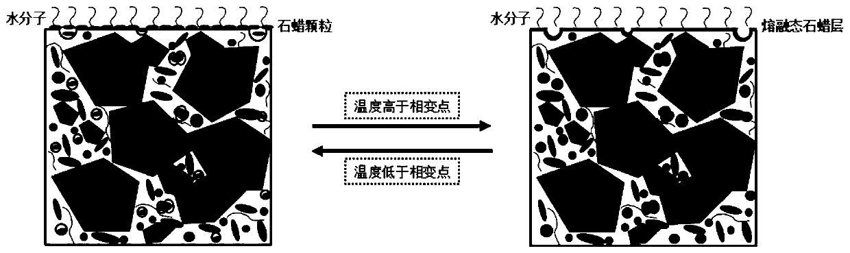 Anti-seepage concrete material in plateau region and preparation method of concrete material