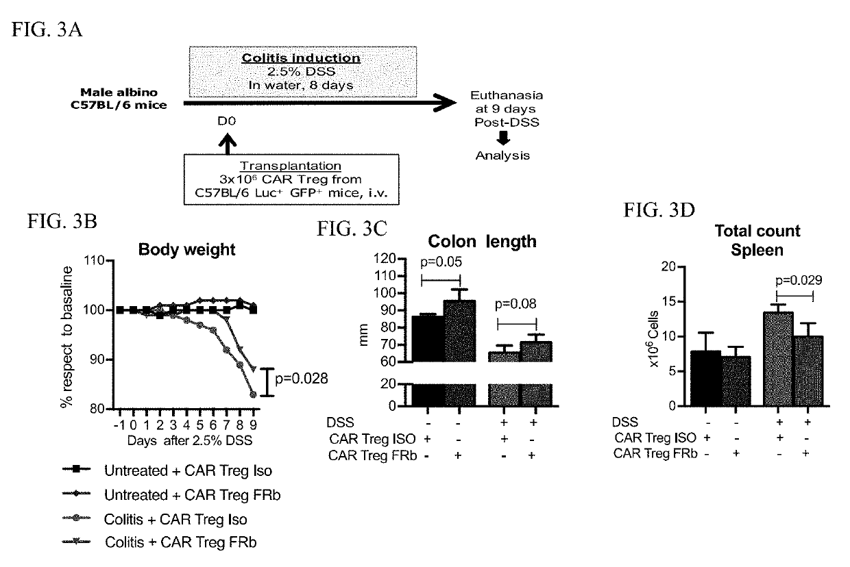 Regulatory t cells targeted with chimeric antigen receptors