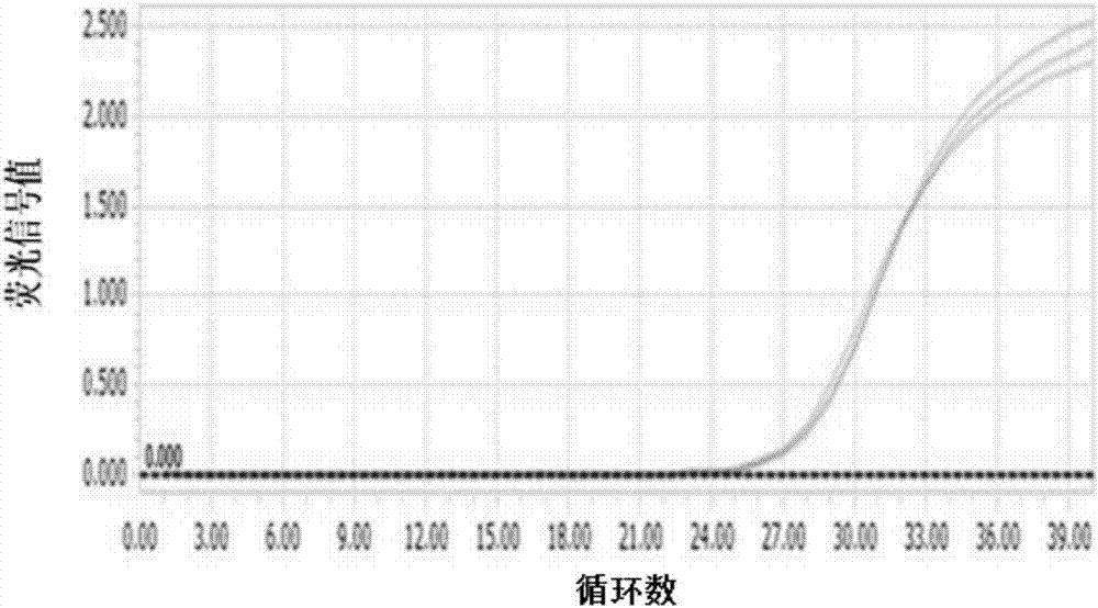 Method for detecting feline herpes virus