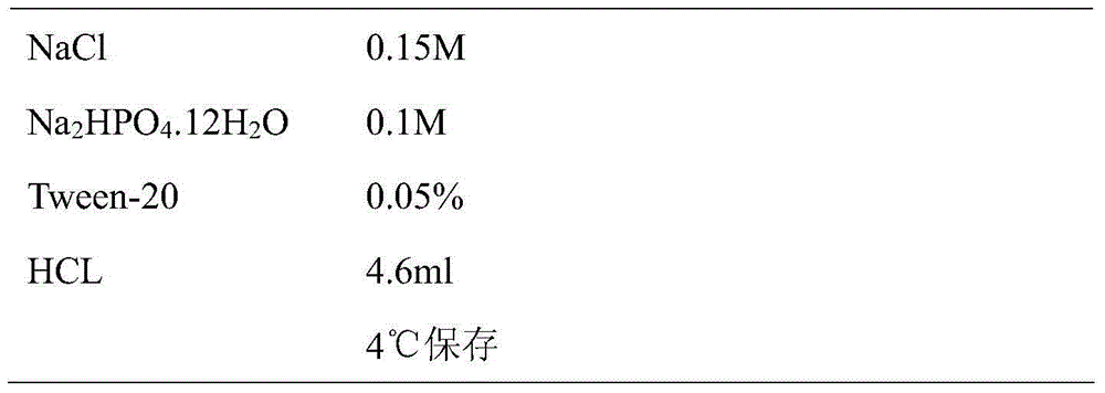 CDKN2A epitope peptide for detecting cervical cancer markers and application of CDKN2A epitope peptide