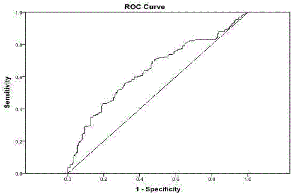 CDKN2A epitope peptide for detecting cervical cancer markers and application of CDKN2A epitope peptide