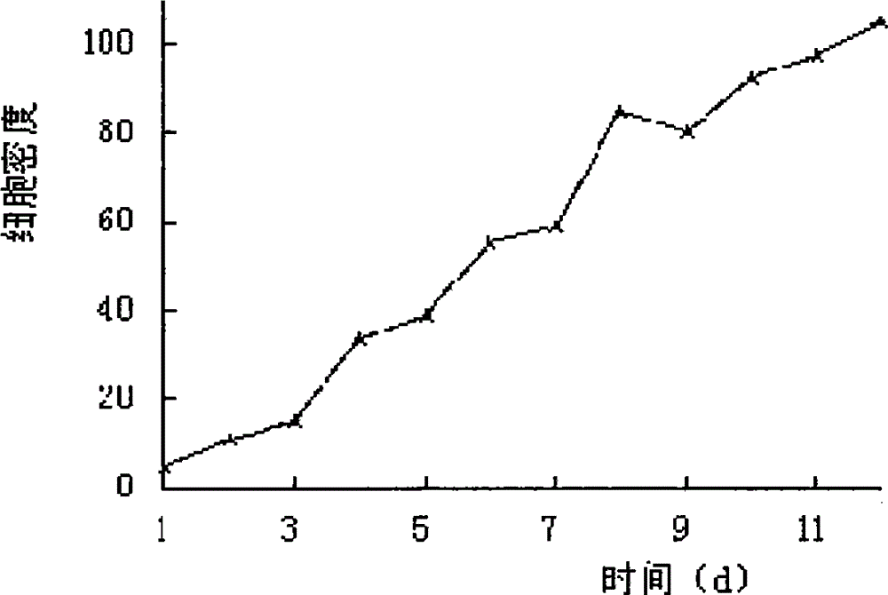 Method for forcing dunaliella tertiolecta to accumulate beta-carotene