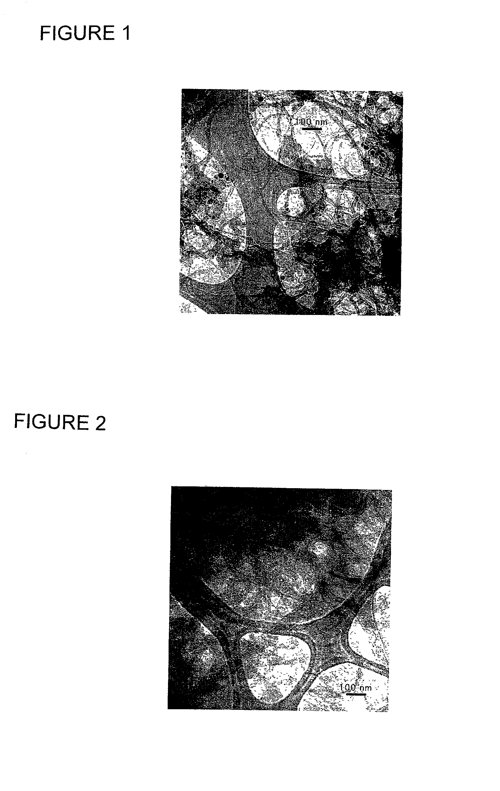 Highly purified single-wall carbon nanotubes and production thereof