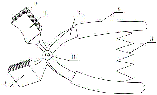 Garlic slice processing device