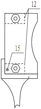 Garlic slice processing device