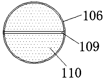 Pig feeding trough with quantitative feeding structure