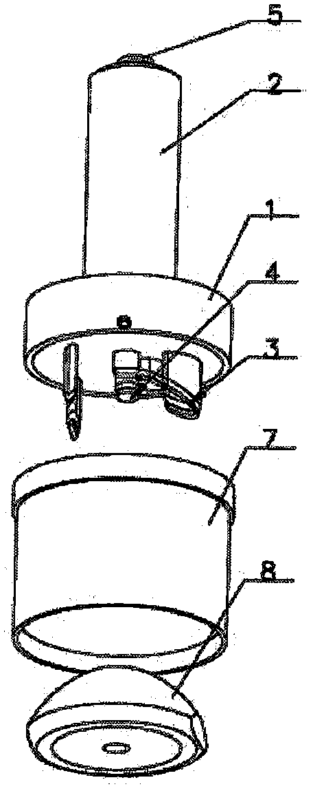 A cartoon molding mold for preparing pastry