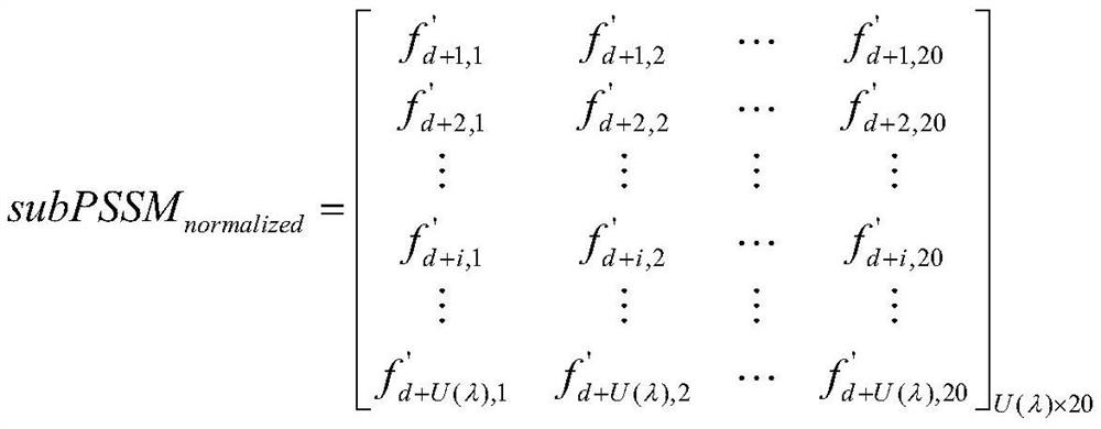 DNA binding protein prediction method based on local evolution information