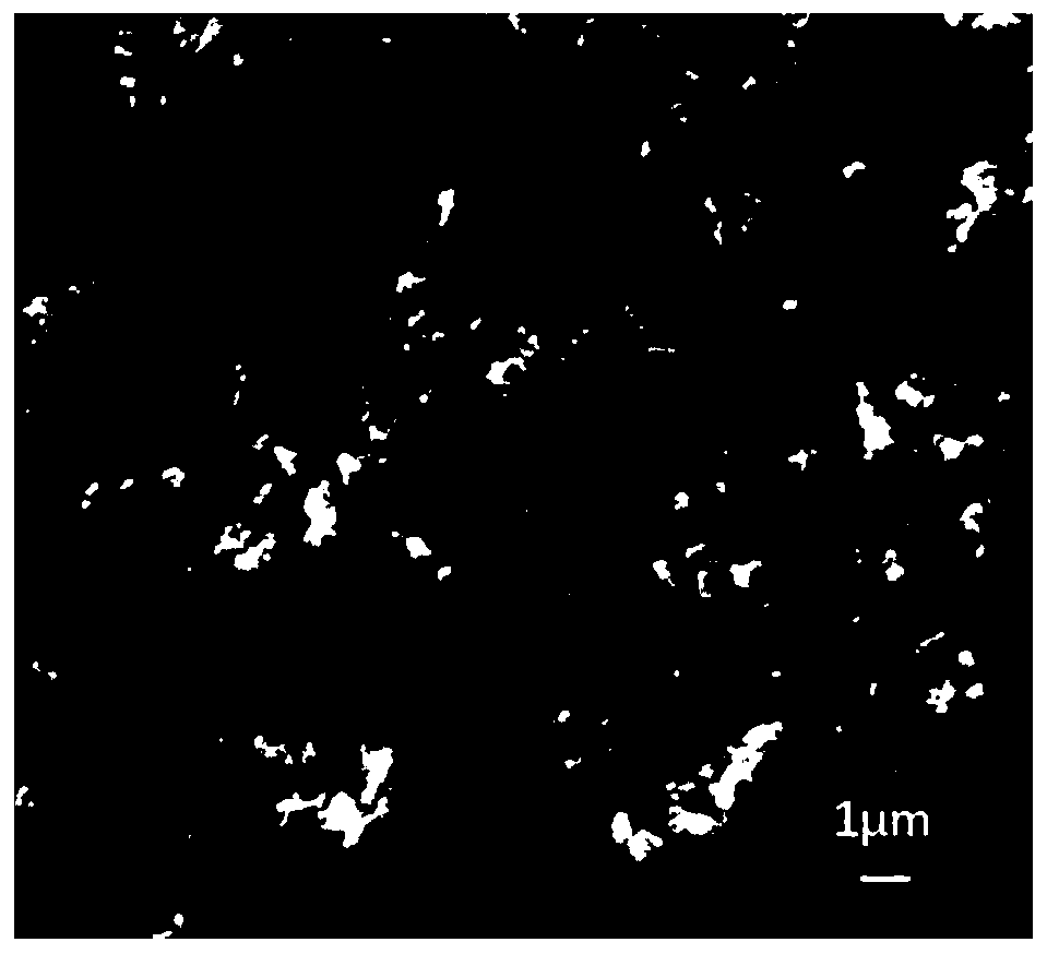 Nitrogen-doped porous carbon loaded titanium dioxide photocatalyst and preparation method and application thereof