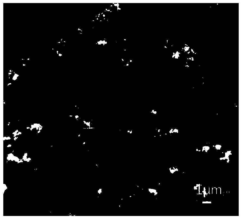 Nitrogen-doped porous carbon loaded titanium dioxide photocatalyst and preparation method and application thereof