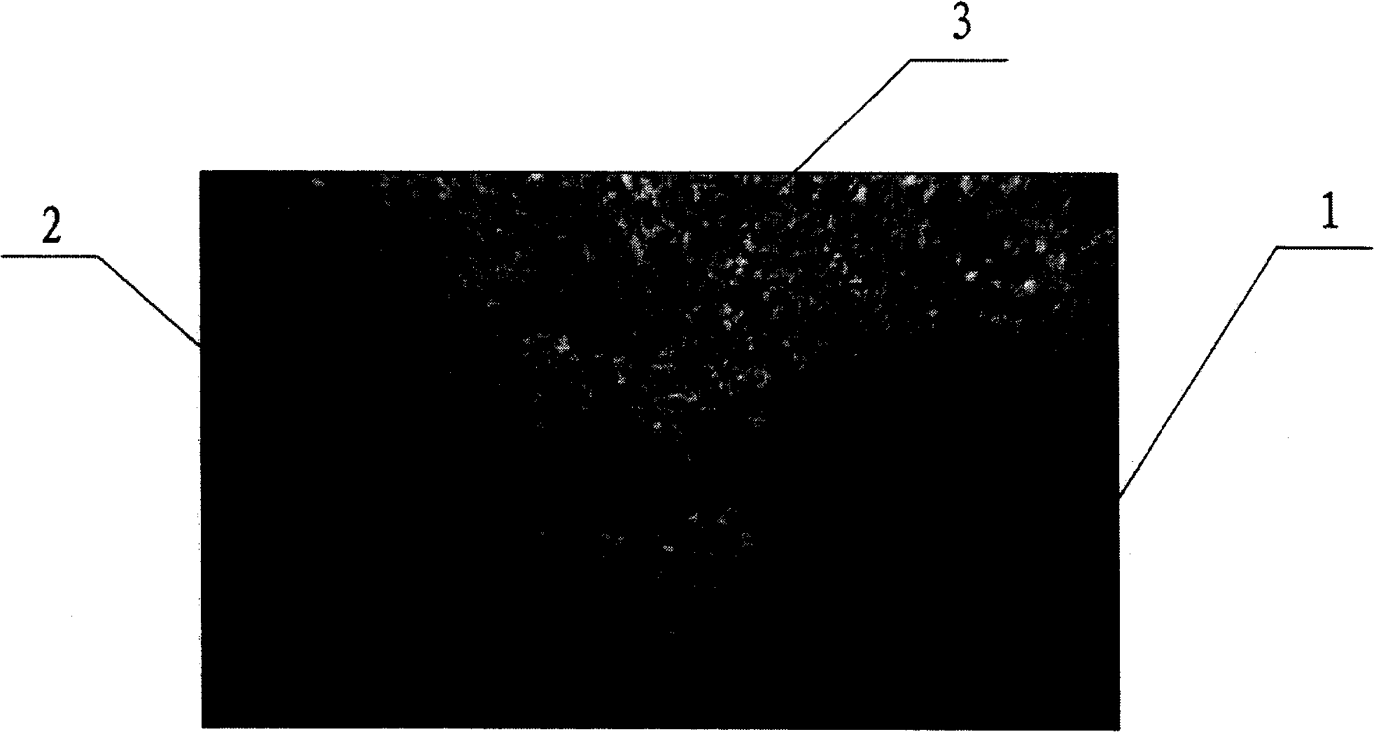 Genuine-fake identification method for laser holographic plate-making