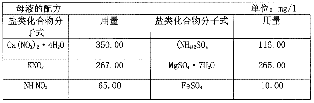 Beijing Kuaicai water planting nutrient solution