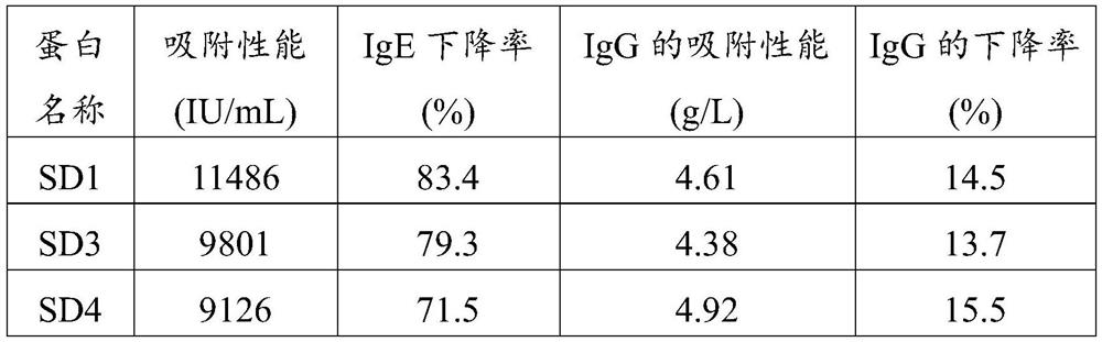 Anti-human IgE protein single-domain antibody and application thereof