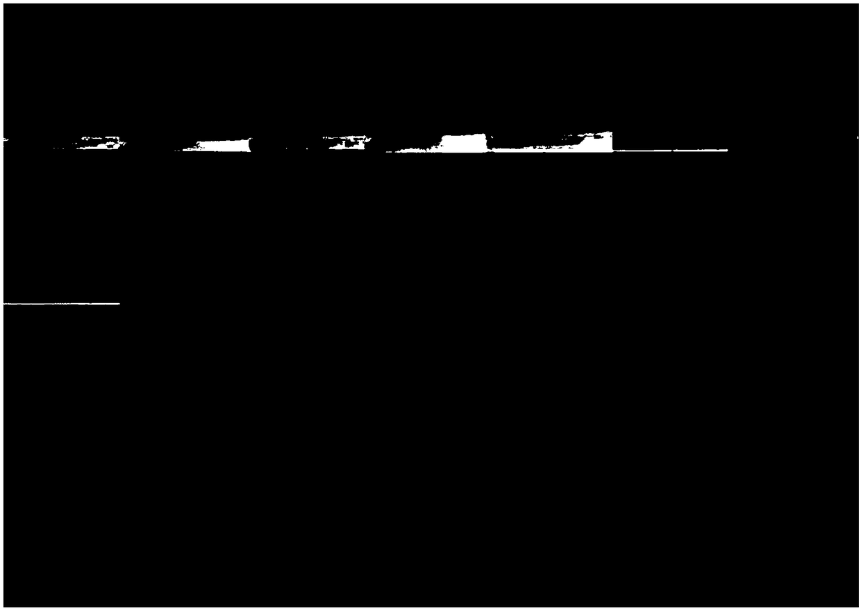 Oil suspending agent of Isariajavanica conidiospore and application of oil suspending agent