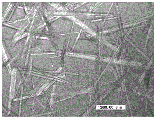 Method for preparing calcium sulfate whisker from phosphogypsum