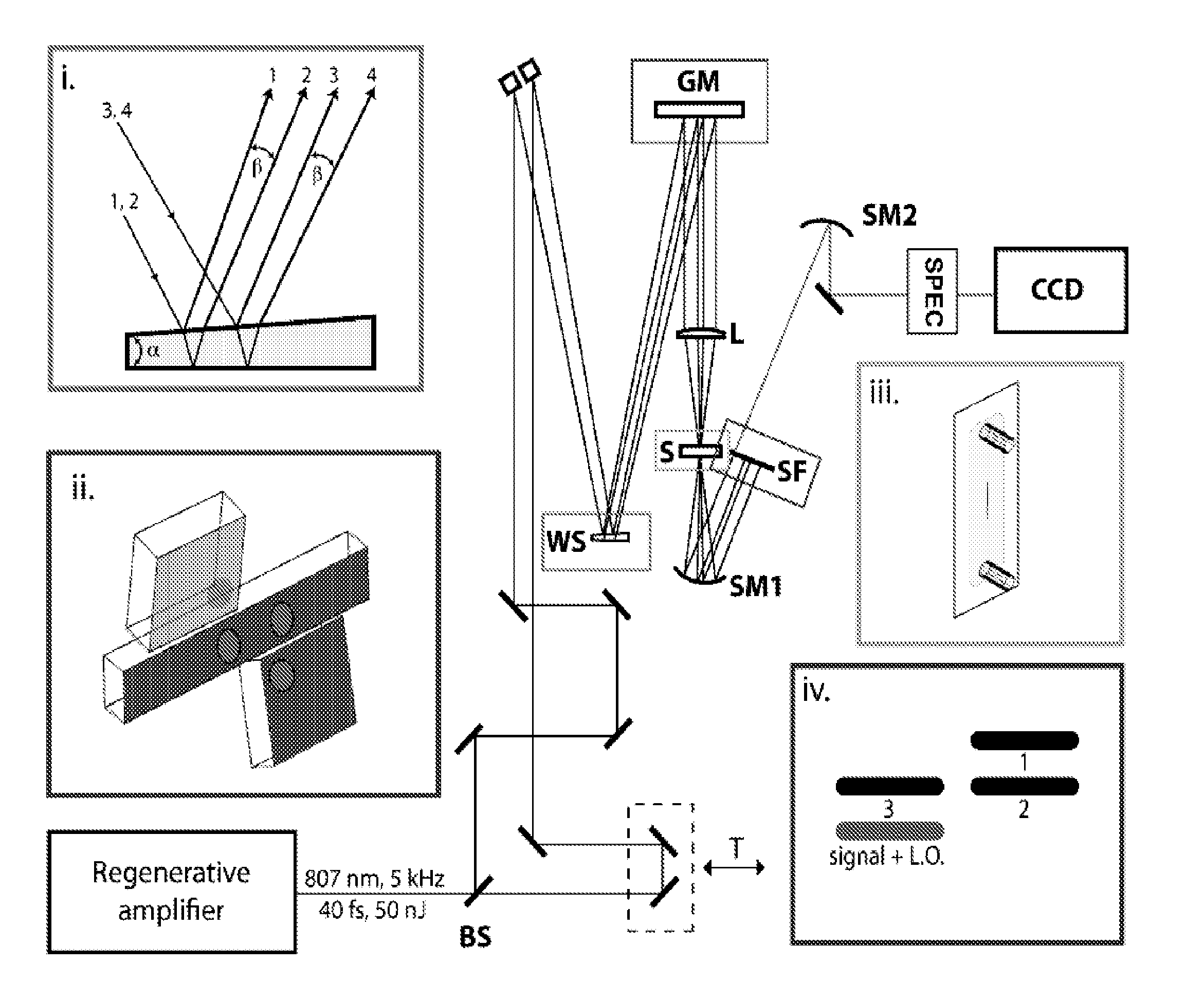 Real-Time Mapping of Electronic Structure with Single-Shot Two-Dimensional Electronic Spectroscopy