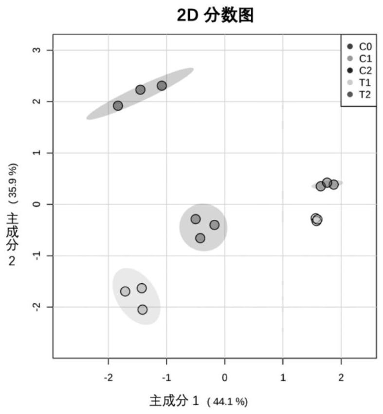 A method and device for detecting the infection degree of Botrytis cinerea in fruit