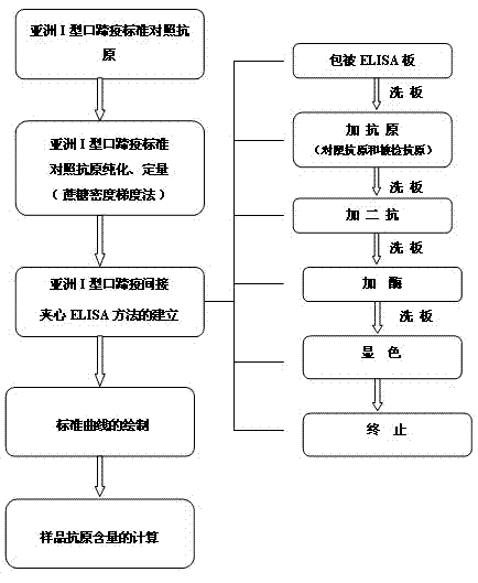 Quantitative enzyme-linked immuno-sorbent assay (ELISA) detection method for Asia I-type foot-and-mouth disease antigens 146S as well as kit and application of quantitative ELISA detection method