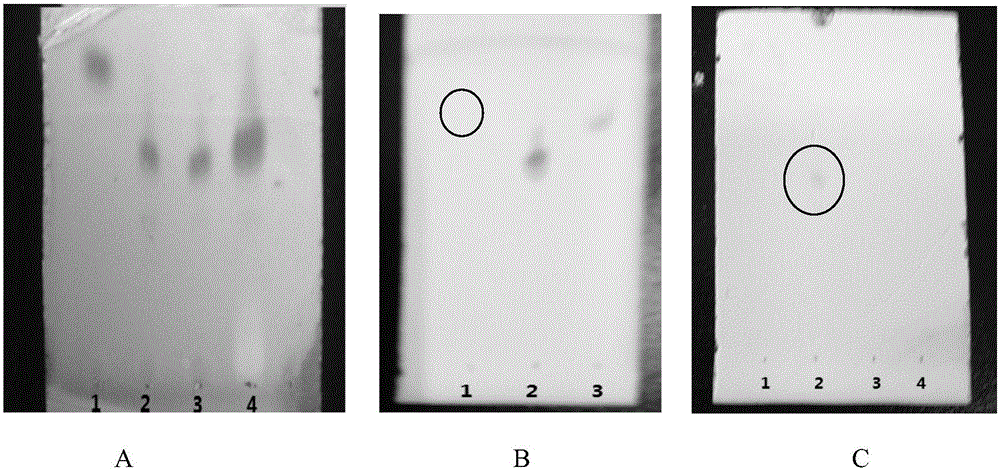 Polymer material containing cholic acid and liposome modified by same