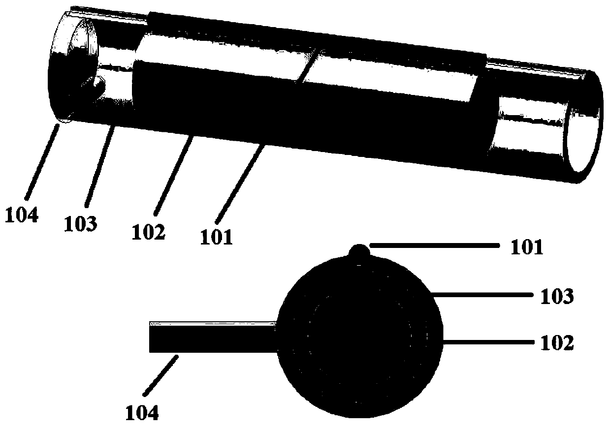 Experimental device and method for detecting oh concentration by using sdbd and emission spectrum