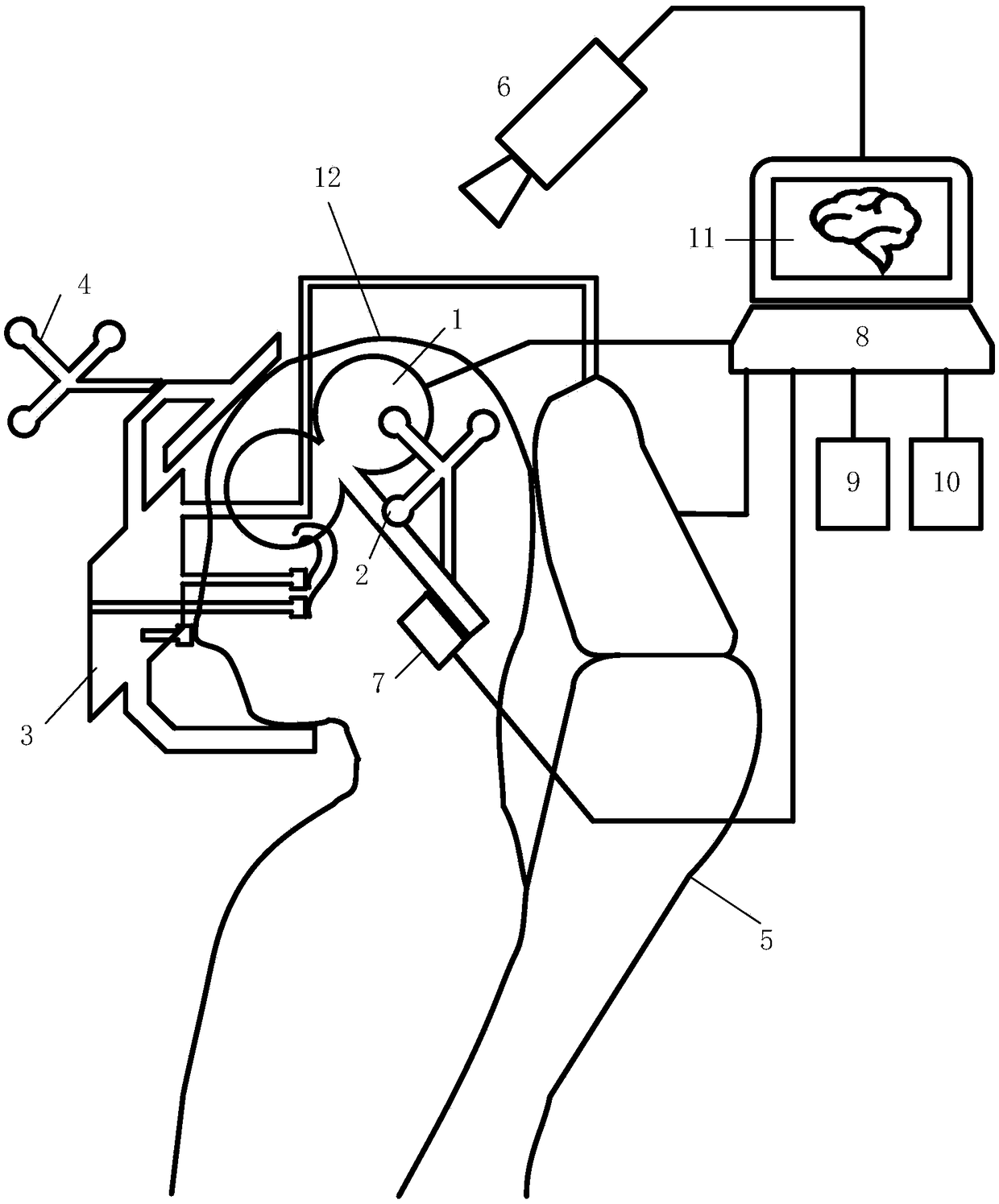 Transcranial magnetic stimulation coil positioning device