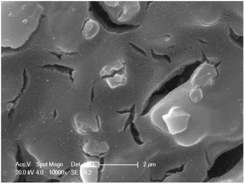 A monolithic catalyst having perovskite oxide skeleton and preparation method thereof