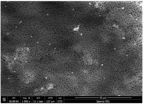 A monolithic catalyst having perovskite oxide skeleton and preparation method thereof