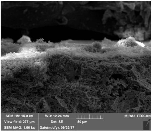 A monolithic catalyst having perovskite oxide skeleton and preparation method thereof