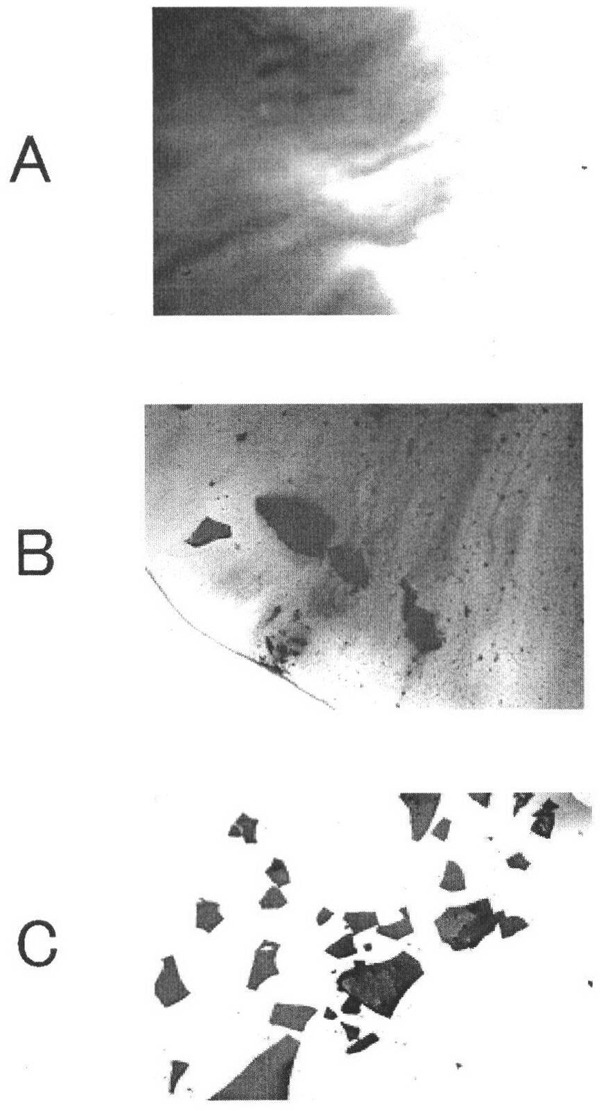 Water-based ink for ink jet recording