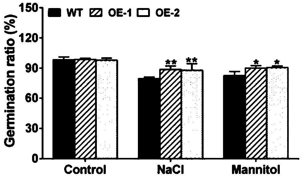 Corn 3-glyceraldehyde phosphate dehydrogenase ZmGPDH1 and application of coding gene of corn 3- glyceraldehyde phosphate dehydrogenase ZmGPDH1 to regulation and control over plant stress tolerance