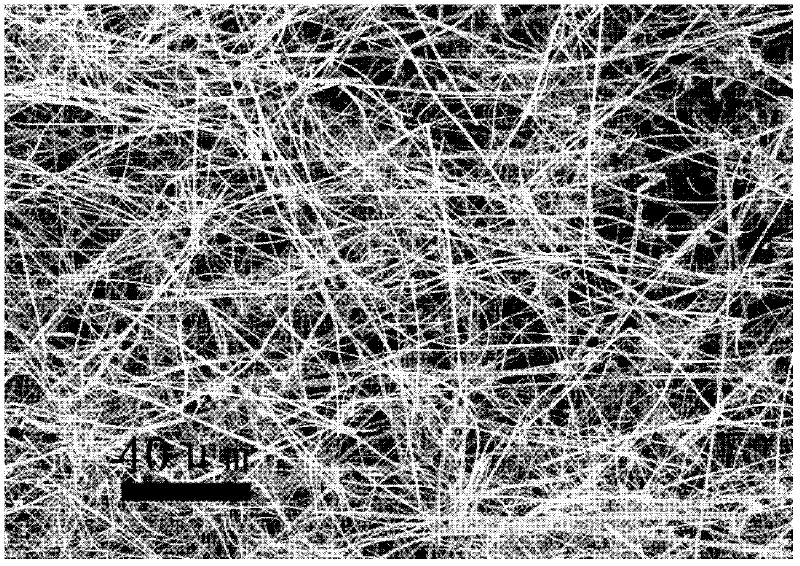 Preparation method of tin dioxide nano material with controllable morphology