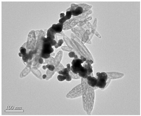 Self-assembled label-free magnetic nano CYP2C9 * 3 gene probe and preparation method thereof