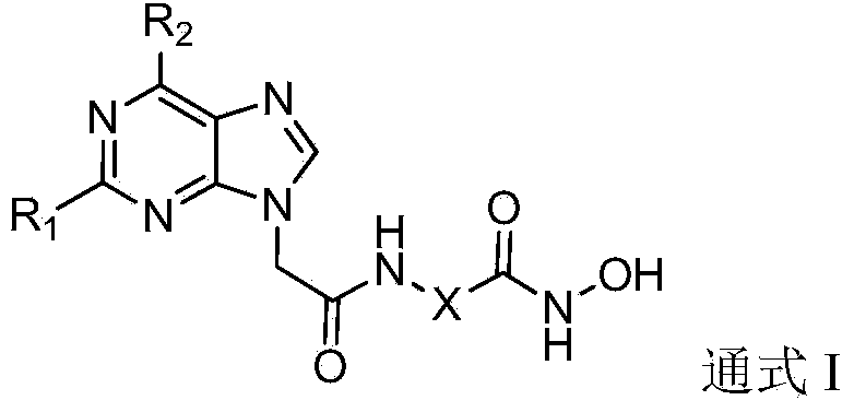 Substituted purin-9-acetamino isohydroxamic acid histone deacetylase inhibitor and preparation method and application thereof