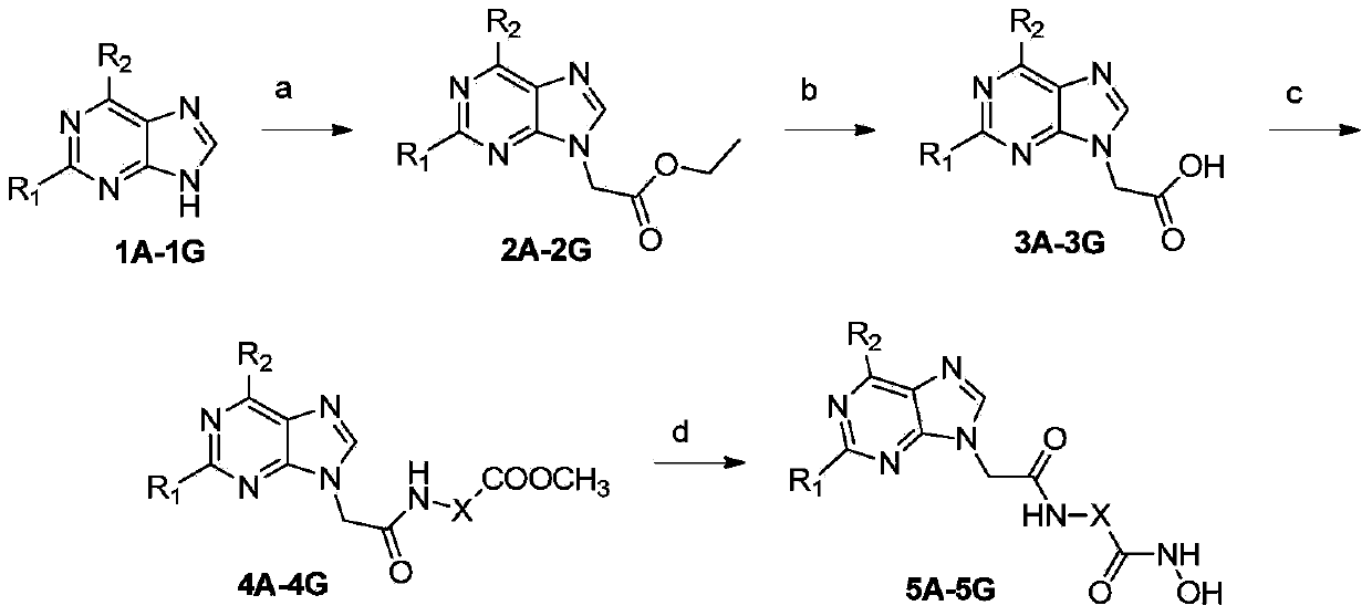 Substituted purin-9-acetamino isohydroxamic acid histone deacetylase inhibitor and preparation method and application thereof