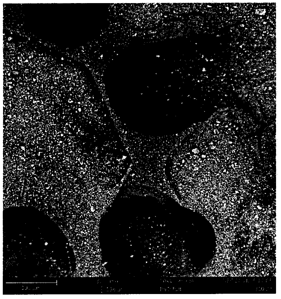 Method for preparing micron-sized TiO2/AC catalyst