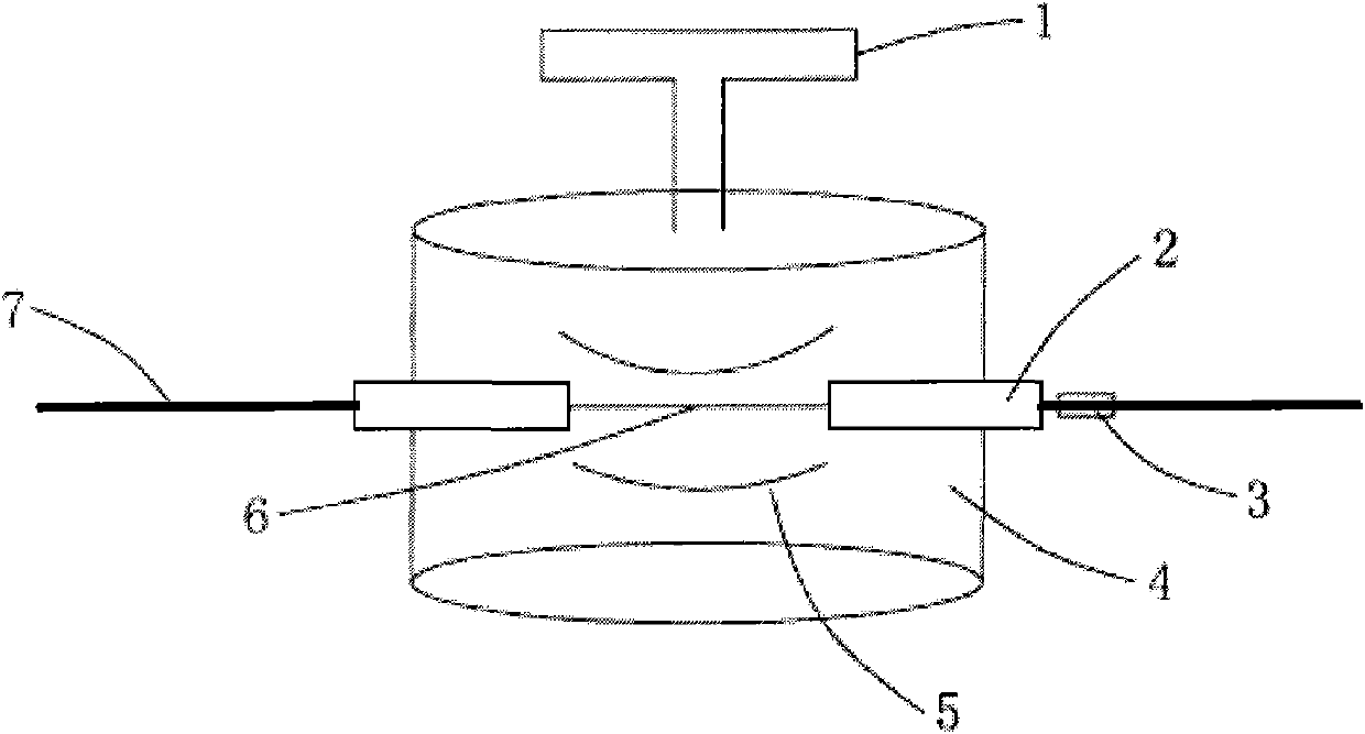 Interface unit containing capillary electrophoresis of hollow-fiber membrane and chemoluminescence combination