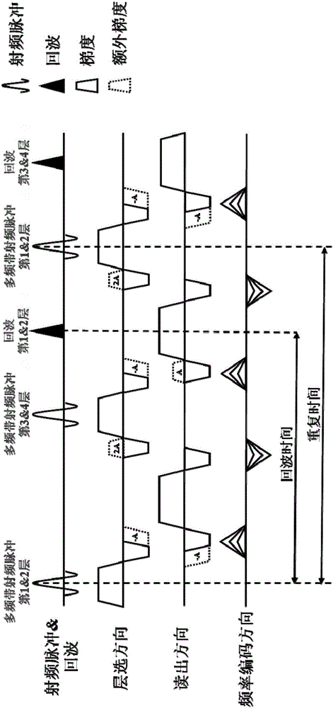 Magnetic resonance T2 * weighted rapid imaging method and device