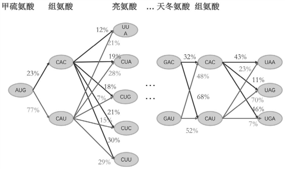 A codon optimization method and application for in vitro expression of heterologous genes