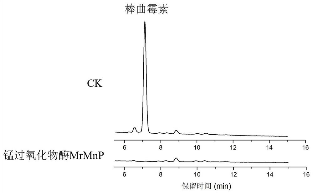 Application and method of manganese peroxidase in degradation of patulin