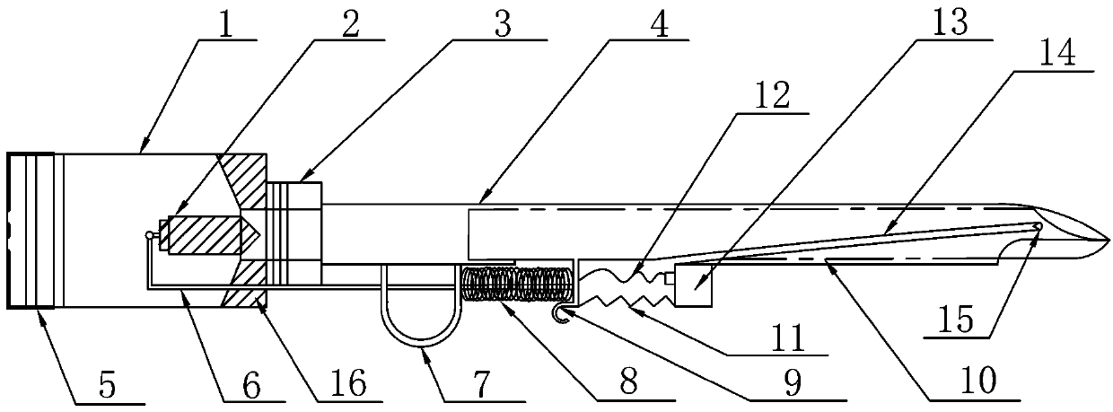 Targeted fertilization gun for granular fertilizer used for potted plants