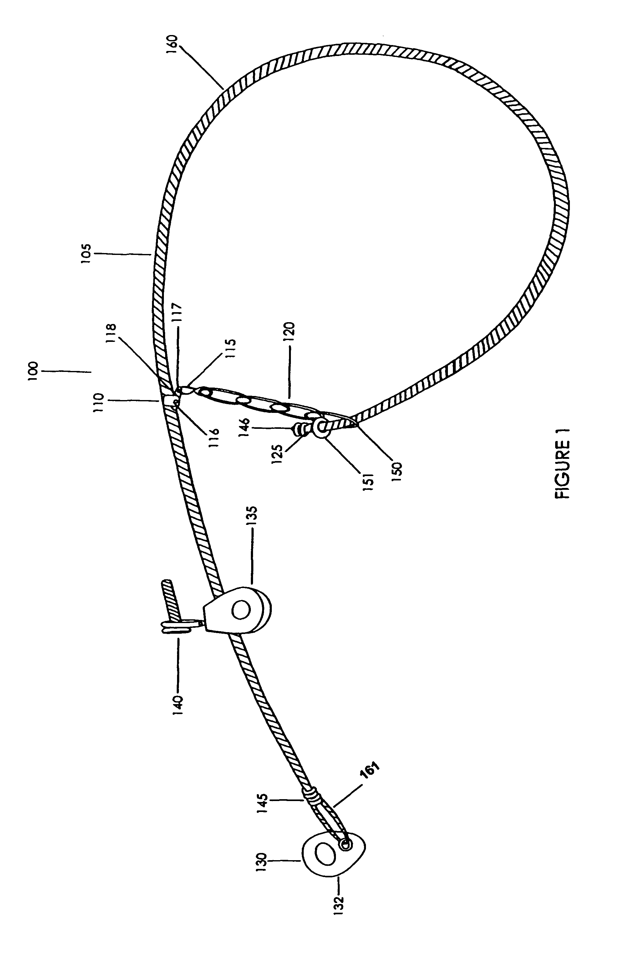 Foot snare device